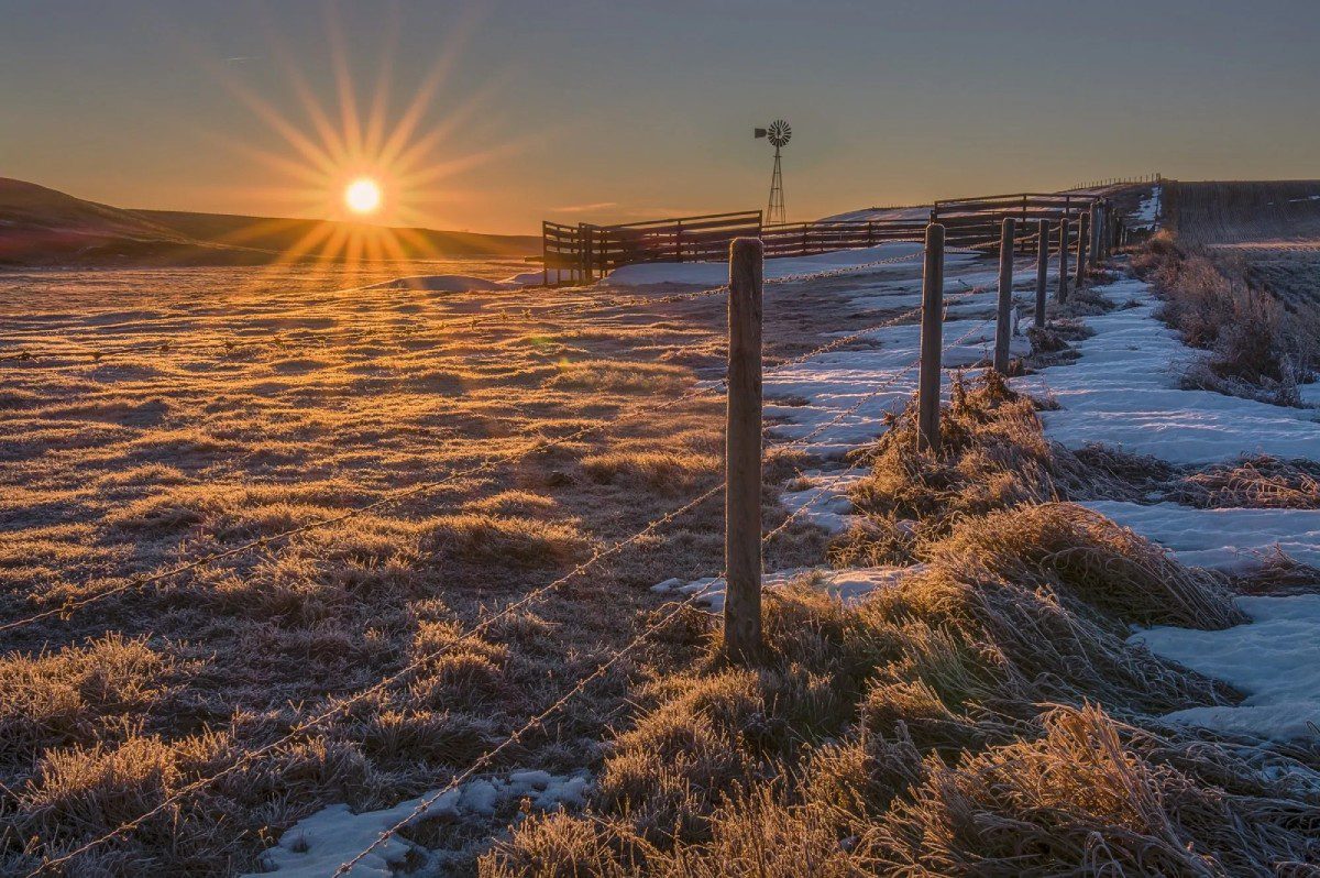 A field with grass and snow on it